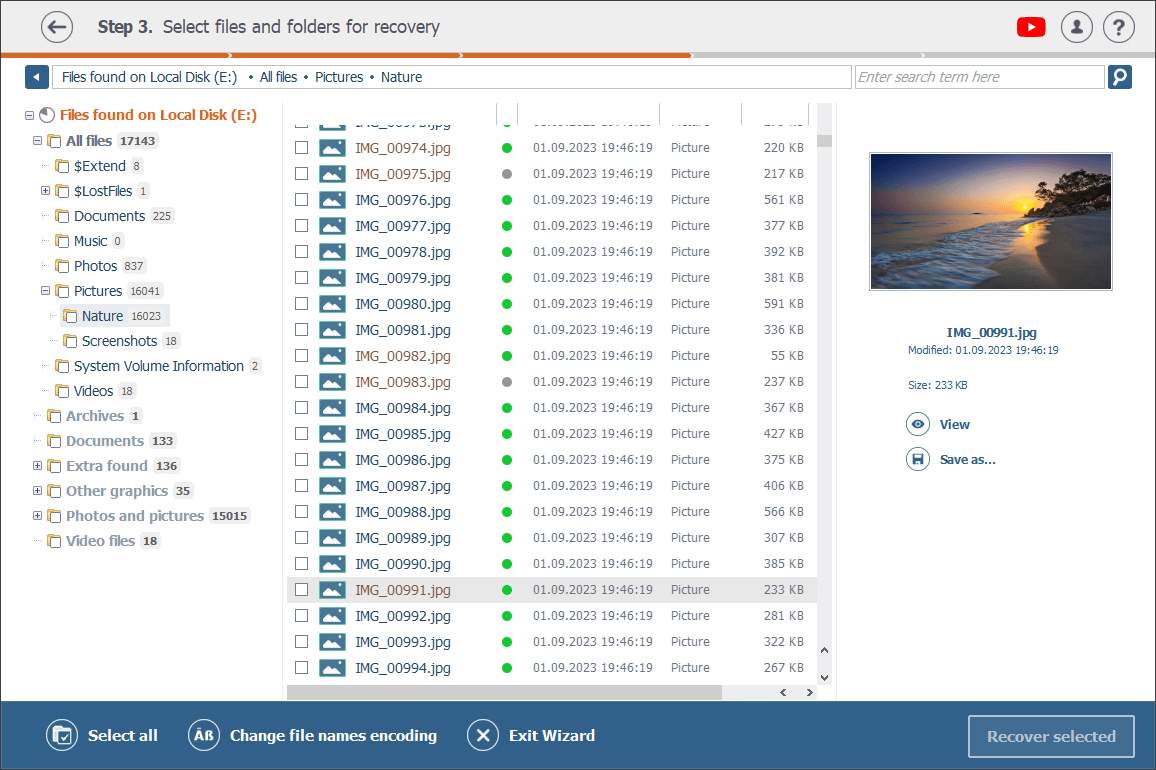 Miniaturansicht der Dateivorschau im Explorer von Raise Data Recovery