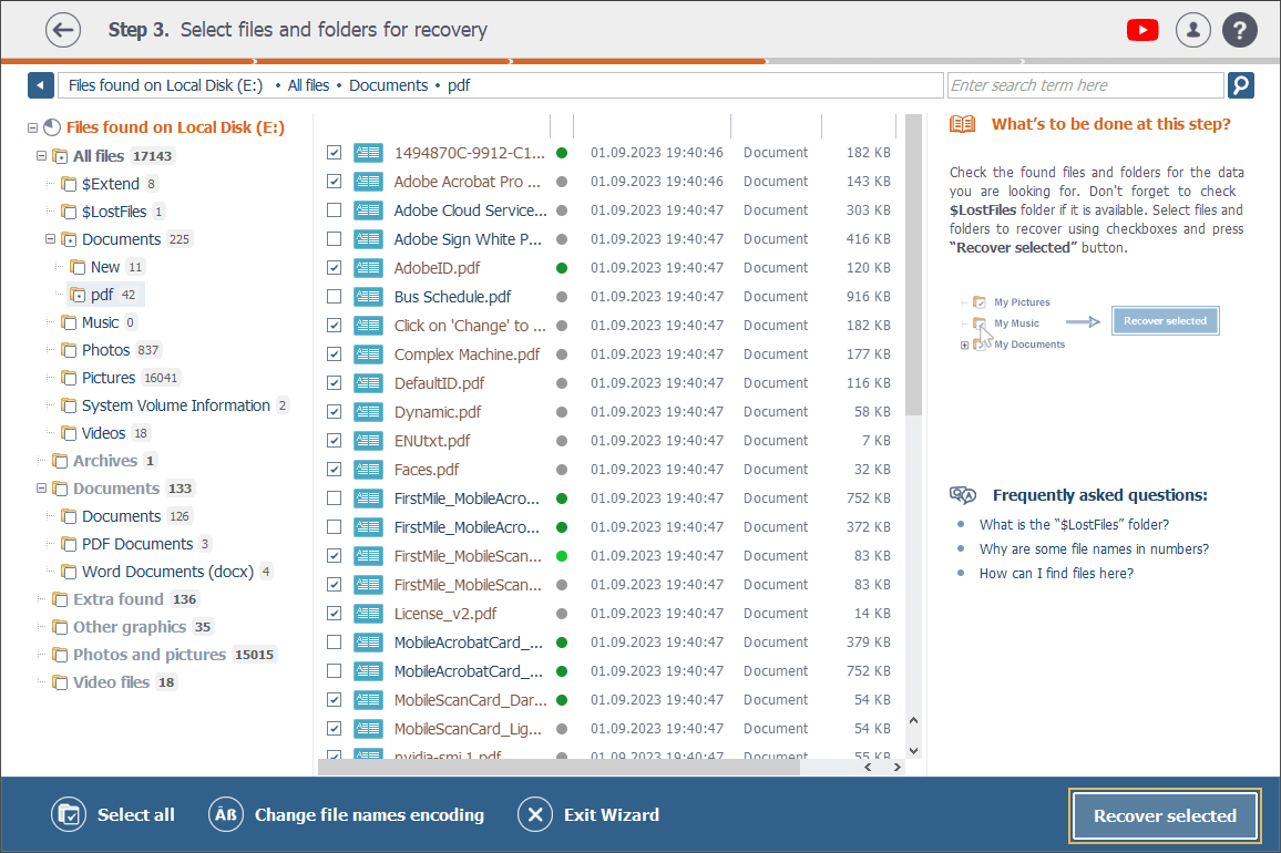 Schaltfläche zur Wiederherstellung ausgewählter Dateien in der Raise Data Recovery-Schnittstelle