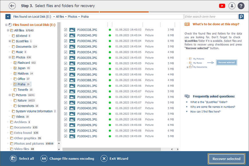 Schaltfläche zur Wiederherstellung ausgewählter Daten in Benutzeroberfläche von Raise Data Recovery