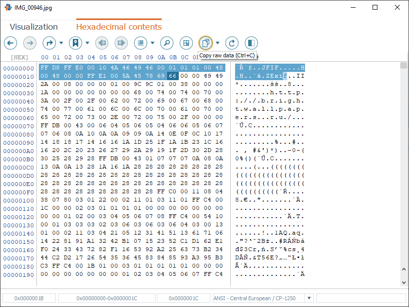 copy data function of hexadecimal viewer main toolbar in raise data recovery software