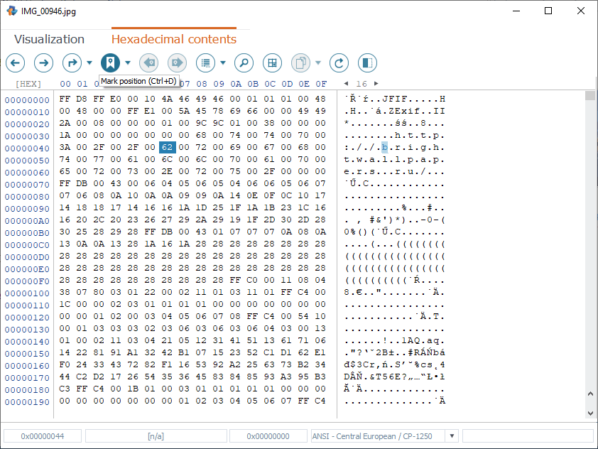 mark position function of hexadecimal viewer main toolbar in raise data recovery software