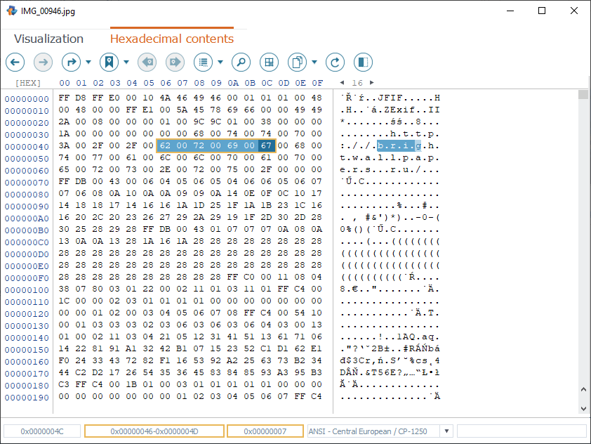 range of bytes selected in main content area of hexadecimal viewer in raise data recovery program