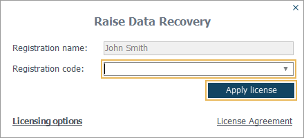 removing registration code in activating new license window in raise data recovery program interface