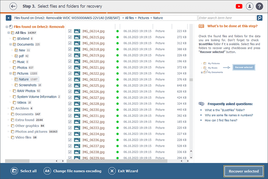 botón para recuperar archivos seleccionados en explorador de raise data recovery