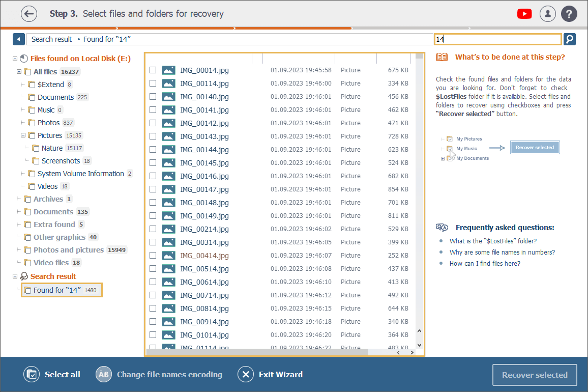 list of files found with the help of search bar in explorer window in raise data recovery program