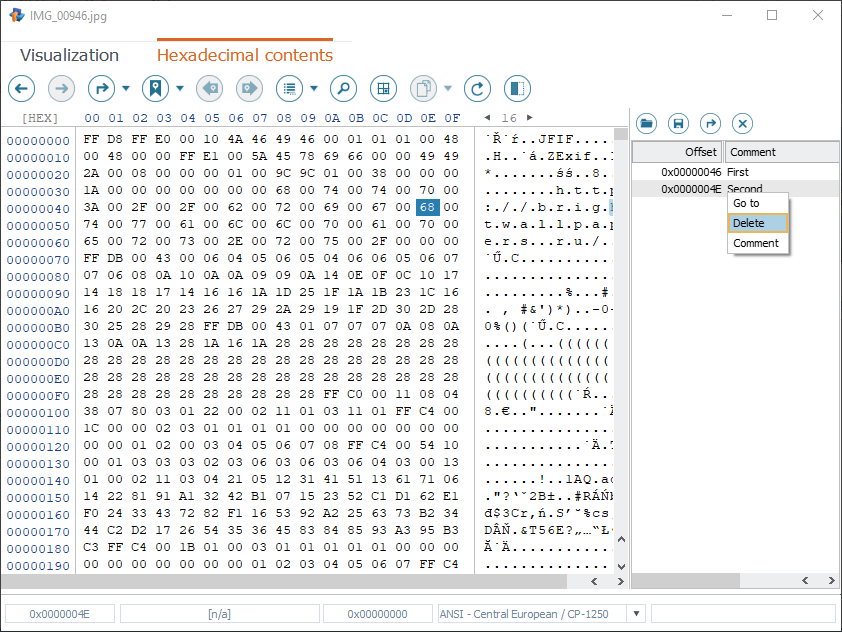 delete option in context menu of position in marked positions list in hexadecimal viewer of raise data recovery software