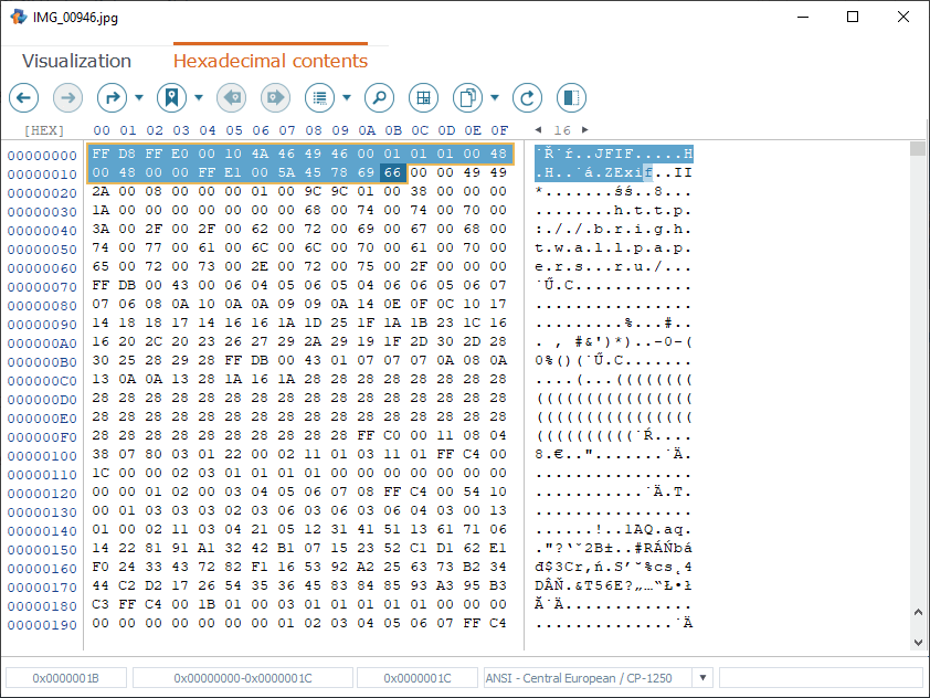 range of values selected in hexadecimal and text data panes in hexadecimal viewer of raise data recovery