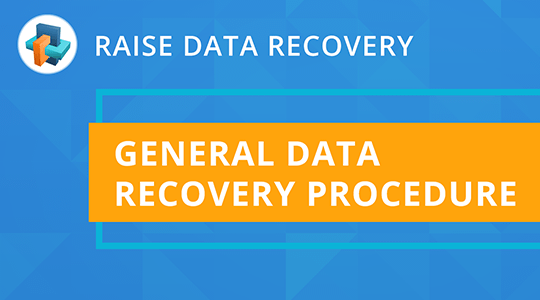 guía de vídeo sobre cómo restaurar archivos eliminados con raise data recovery