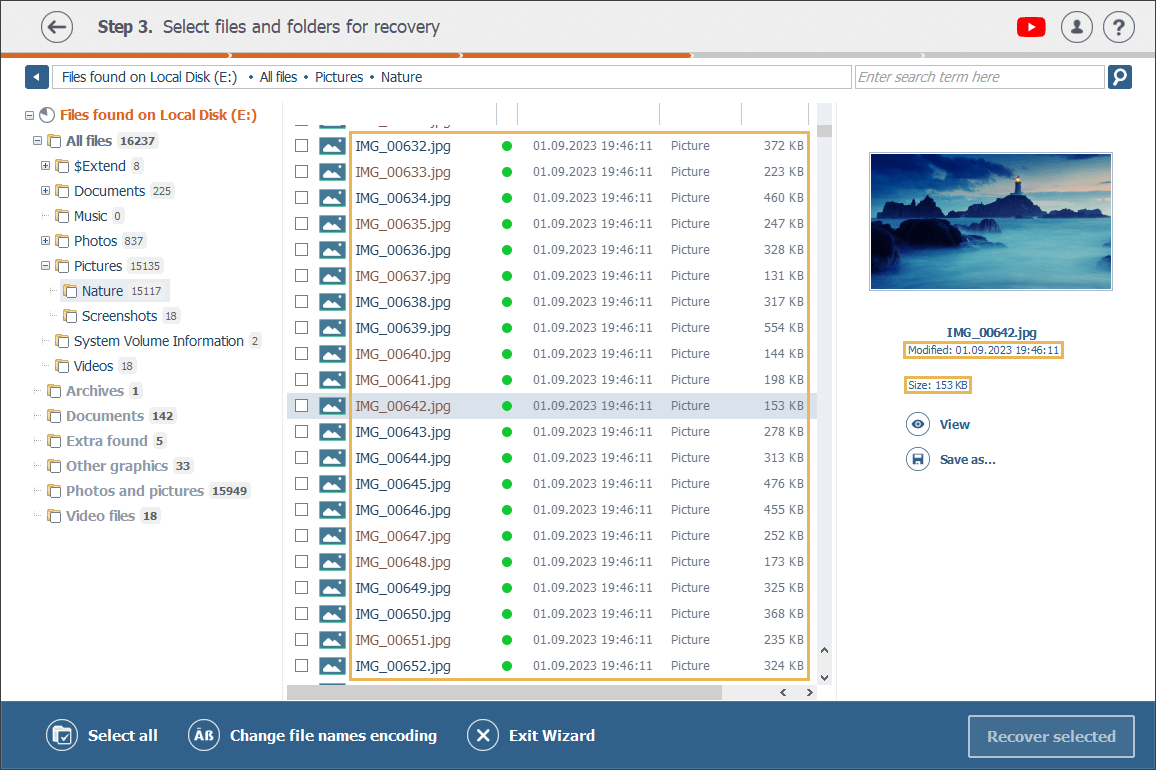 list of files with their properties in explorer window in raise data recovery program