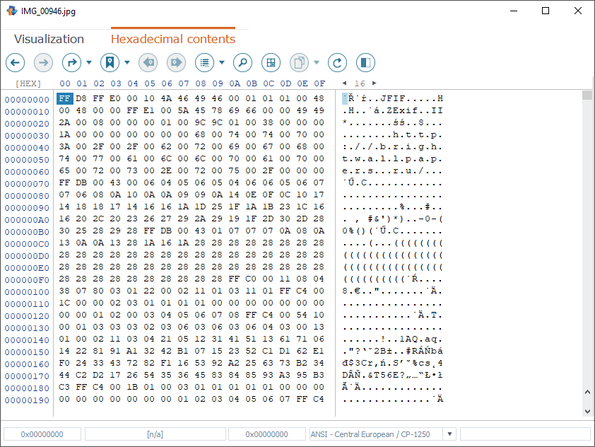 file binary content opened in hexadecimal viewer in raise data recovery program