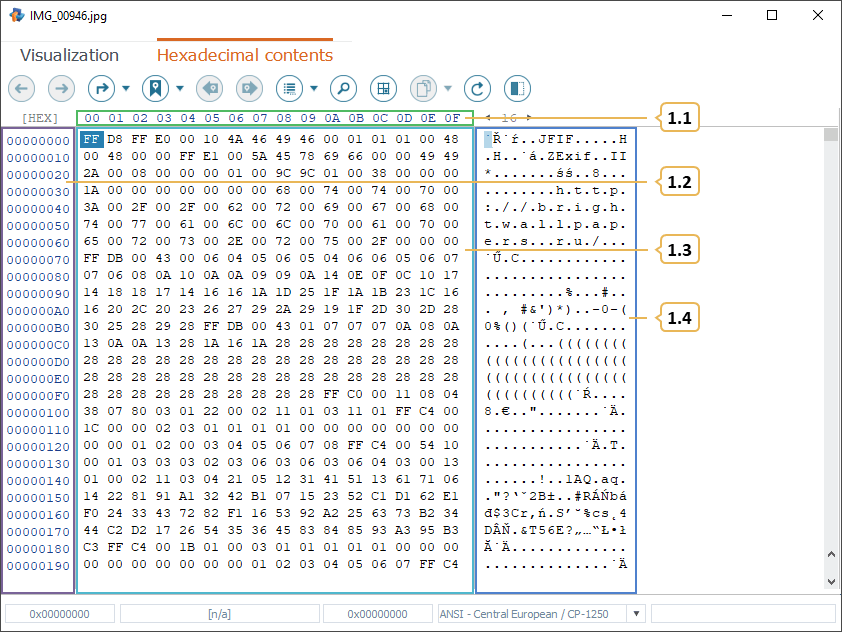 parts of main content area in hexadecimal viewer in raise data recovery program