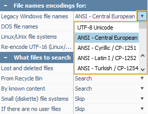 file name encodings dropdown list in configuration and settings pane in raise data recovery program window