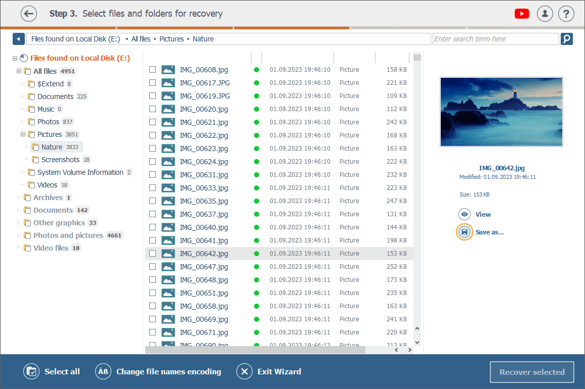 save as function under file thumbnail preview in right-side pane of raise data recovery program window