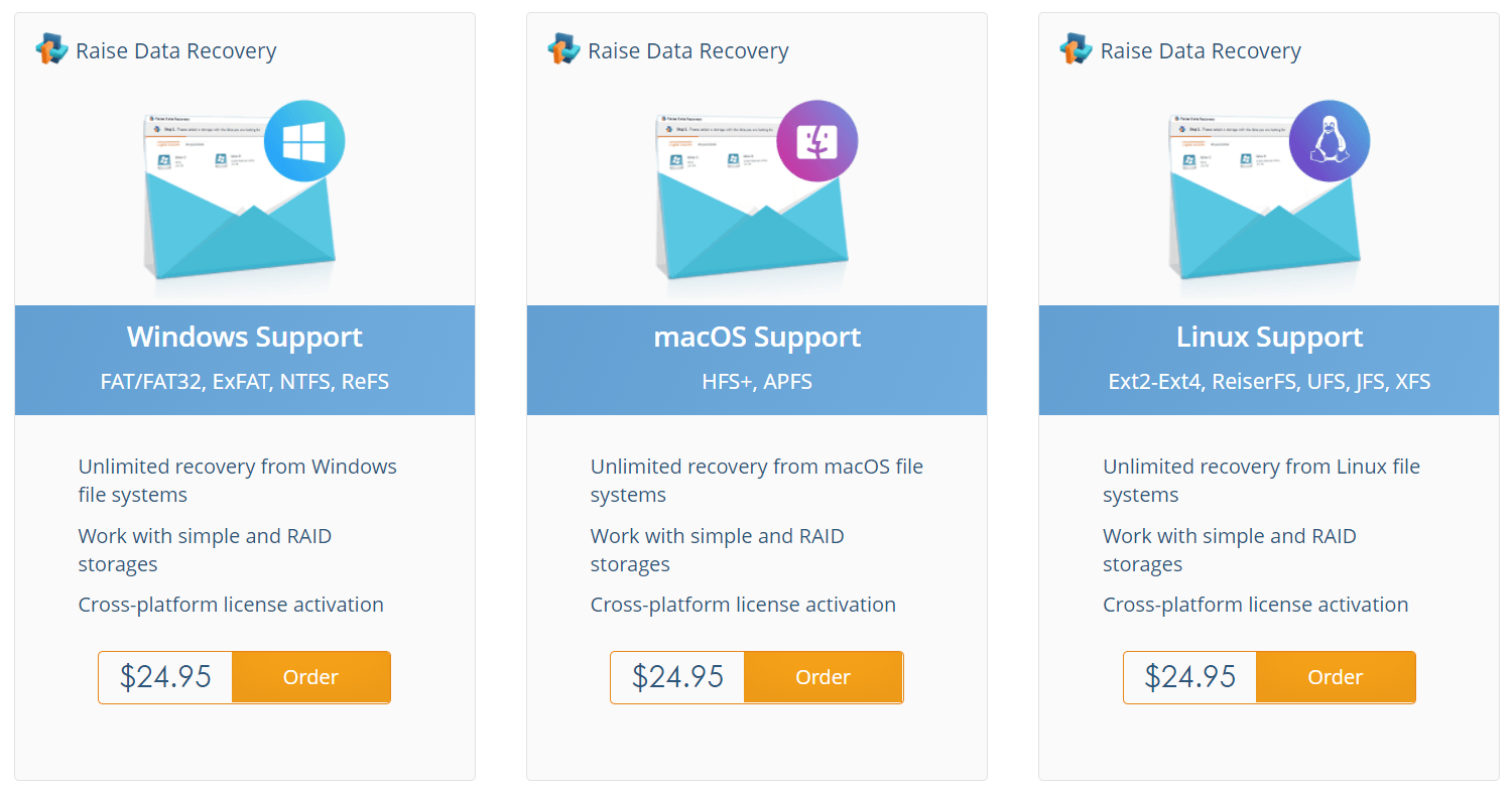 Raise Data Recovery Licensing options you can choose from