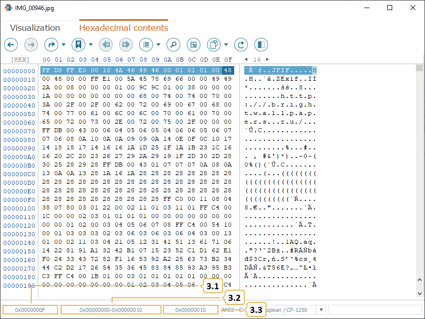 contextual line at the bottom of hexadecimal viewer in raise data recovery program