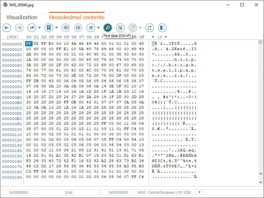 find data function of hexadecimal viewer main toolbar in raise data recovery software
