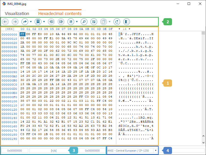 elements of hexadecimal contents tab in raise data recovery program