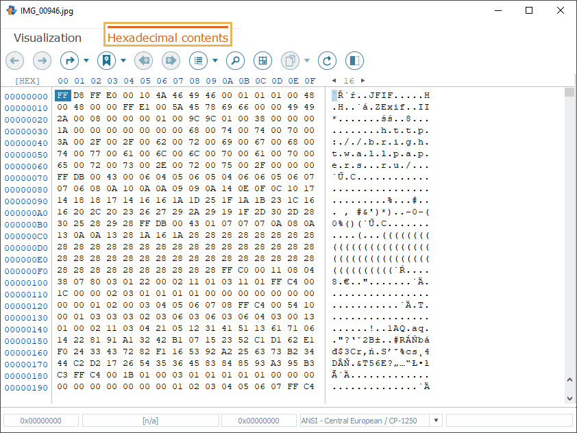 hexadecimal contents tab in file full size preview window in raise data recovery program