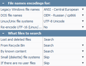 two sections of configuration and settings pane in raise data recovery program window